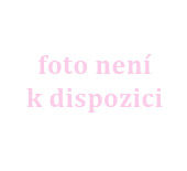 Obrázek není k dispozici